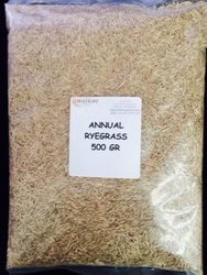 shop/annual-ryegrass-seed-500-gr.html
