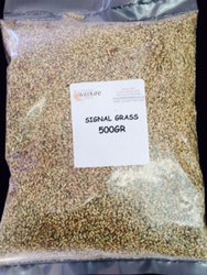 shop/signal-grass-500-gr.html