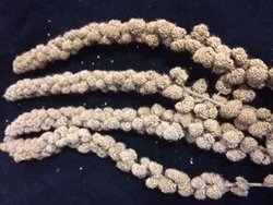 shop/millet-panorama-sprays-500-gr.html